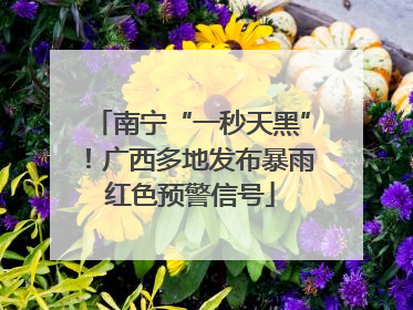 南宁“一秒天黑”！广西多地发布暴雨红色预警信号